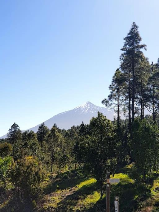 Hikers Haven Courtyard Apartment Tamaimo Tenerife El Molledo Exterior foto